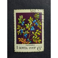 1982 СССР. Дикие ягоды. Голубика