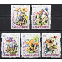 Грузия 2000. Грибы 5 марок (74)