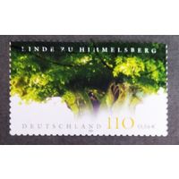 Марка Германия 2003 год Липа