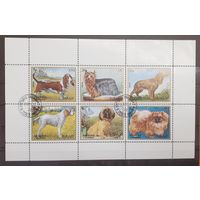 Шарджа. 1972 год. Фауна. Собаки (малый лист) (2355)