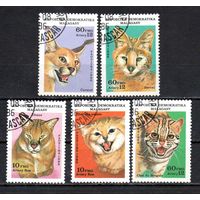 Кошки Мадагаскар 1986 год серия из 5 марок