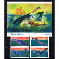 1999 Сомали. Киты