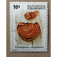 Марка Заир, серия -- грибы, 1978 г., без надпечатки