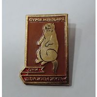 Значок "Сурок Мензьира" СССР. Алюминий.