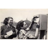 Старые фото БЕЛТА Белорусски на целине 1954 г.