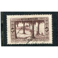 Французский Алжир. Туггурт. 40с