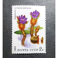 Марка СССР 1984 Водные растения
