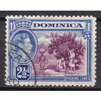 22.BrKCI. Великобритания. Колонии. Доминика. Местные мотивы. Георг VI. 1942 г. 2 1/2P. Mi.#97b.
