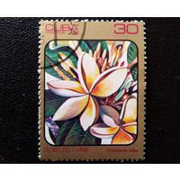 Марка Куба 1984 год Цветы