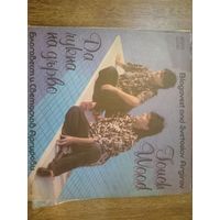 Виниловая пластинка