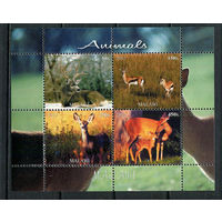 Малави - 2011 - Антилопы - 1 блок. MNH.  (Лот 38JG)-TG2P23
