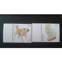 192-4873 (1999) Фауна Кошка Собака Армения, домашние питомцы,