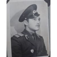 Фото в коллекцию