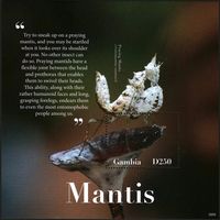 2020 Гамбия 7787/B1012 Насекомое - Богомол, цветы 12,50 евро