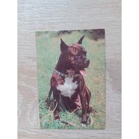 Календарик 1993