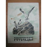 Раскраска "Водоплавающие птицы", 1973. Художник В.И. Морозов.