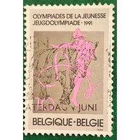 Бельгия 1991. Европейская юношеская олимпиада