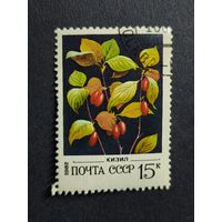 1982 СССР. Дикие ягоды. Кизил