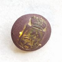 Пуговица малая, чиновника Московской губернии обр. 1854 г. 14 мм. Остатки золочения. Находка.