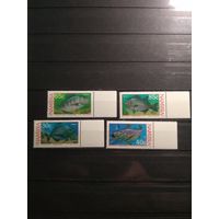 Намибия 1994 г. Рыбы.