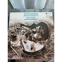Пластинка ENERGIT  PIKNIK