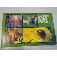 Сохраним родную природу. Комплект из 17 листовых изданий в обложке.