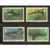 Монтсеррат-1987(Мих.666-669) , **    , Морская Фауна ,Рыбы(полная серия)