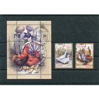 Беларусь 2009.. Домашние птицы