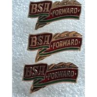 Значок BSA "Forward"
