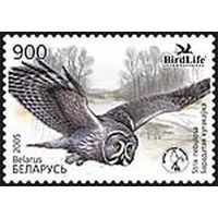 Марка "Птица года. Бородатая неясыть"