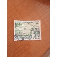 1956 французская колония Мадагаскар флора рисовые поля (3-14)