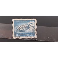 РАСПРОДАЖА ПОЛЬША 1954г. Гаш.