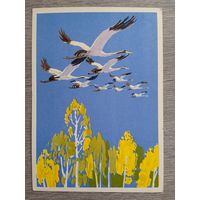 Лаптев. Доброго пути!