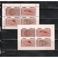 Эйнхаллоу(Шотландские ос-ва)-1981 , ** ,  Морская Фауна, Раковины