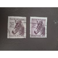 ЮАР  1954 2 м