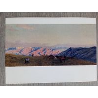 1958. Малеина. Табун в горах