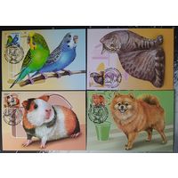 Беларусь 2025 КМ, домашние питомцы .