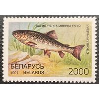 Беларусь 1997. Редкие виды рыб. Форель ручьевая. Марка из серии