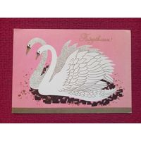 Поздравляем! ИЗО Чистая.