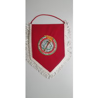 Вымпел министерство спорта и туризма Республики Беларусь