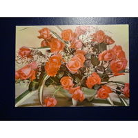 Композиция из роз.  1972 г.  подписанная.