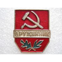 Дружинник.