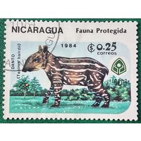 Никарагуа 1984. Tapirus bairdii