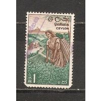 ФФ2 Цейлон 1964 Чай гаш