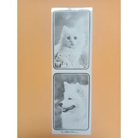 Закладка Кооператив Зенит