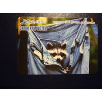 Календарик 2006 г.  Чистота с удовольствием.