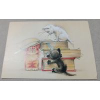 Посткроссинг. Открытка котята (10х15). Прошла почту. Художественые марки, чёткий штемпель.