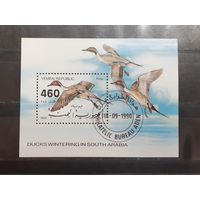 Йемен. 1990 год. Фауна. Птицы. Утки. Блок (402)