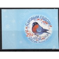 Россия 2023. С Новым годом. 1 марка (2540)