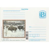 Беларусь 2020 ПК М.З. Беленицкий. Зубры (к5)